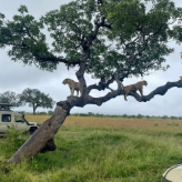 Барнаба Гид в Занзибаре