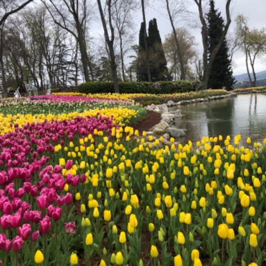 Рузия Гид в Стамбуле