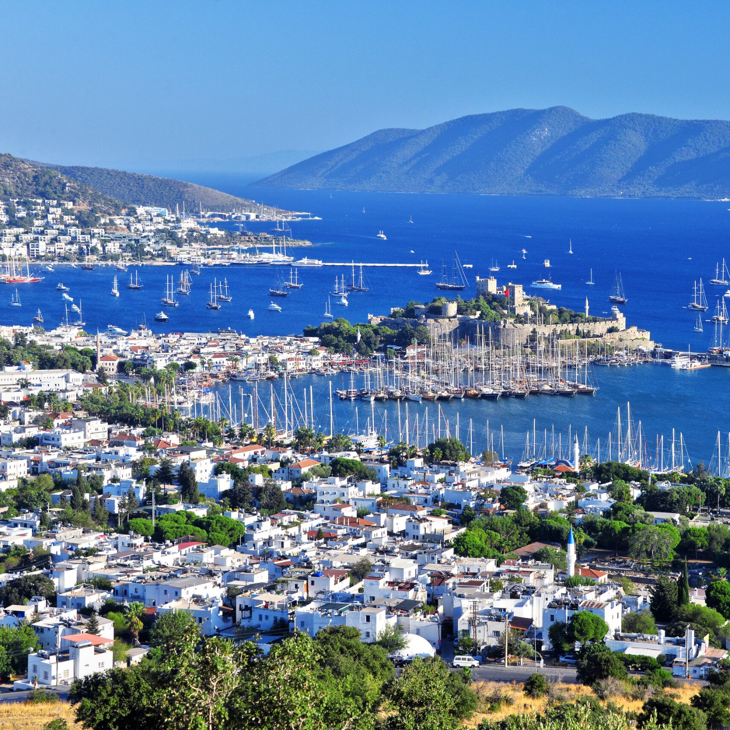 Апполон Эксперт по археопомятникам и местной культуре