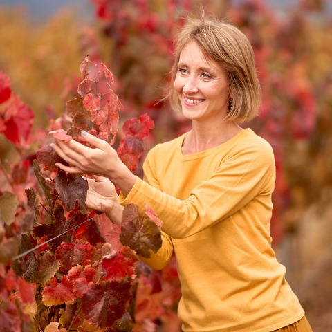 Елена Гид в Вальпараисо