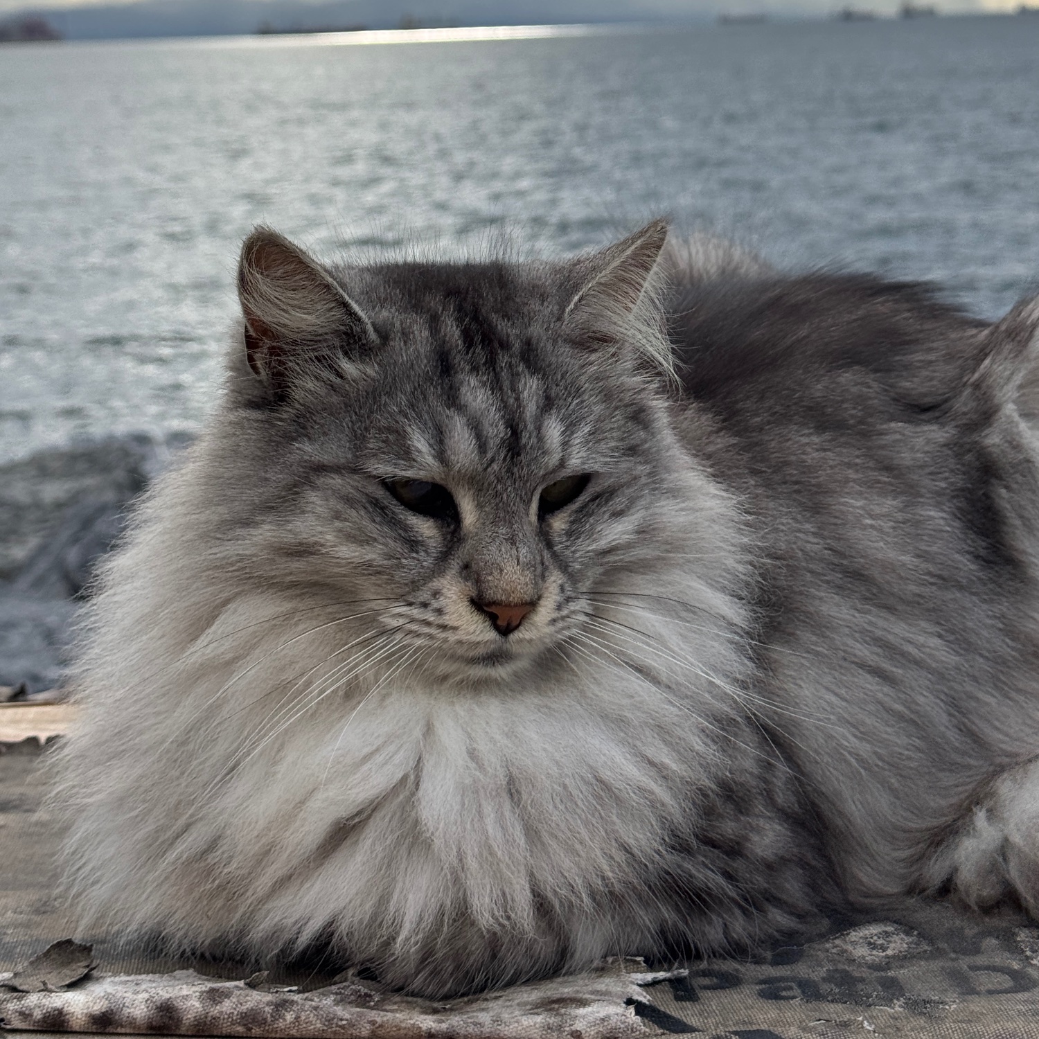 İstanbul Гид в Стамбуле