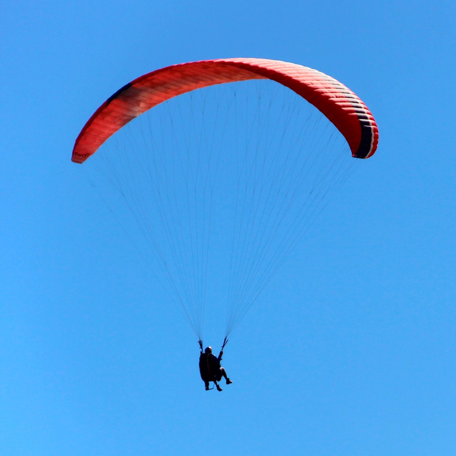 Константин Шеф-пилот парапланерной школы