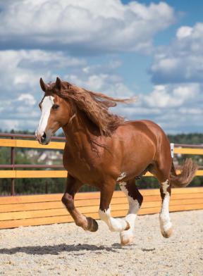 Ирина Гид в Истре