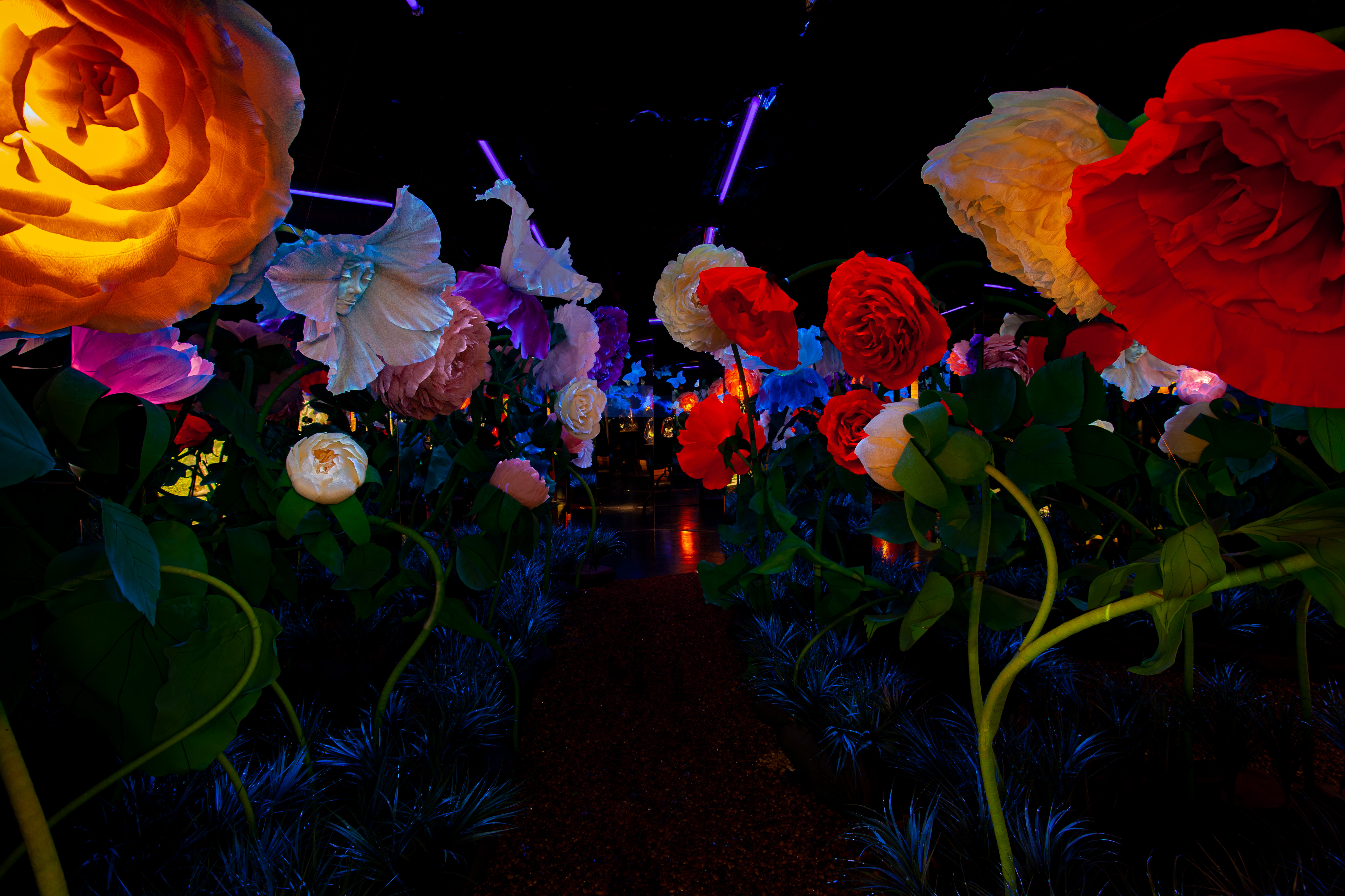 Билет в интерактивный парк развлечений Magic Park