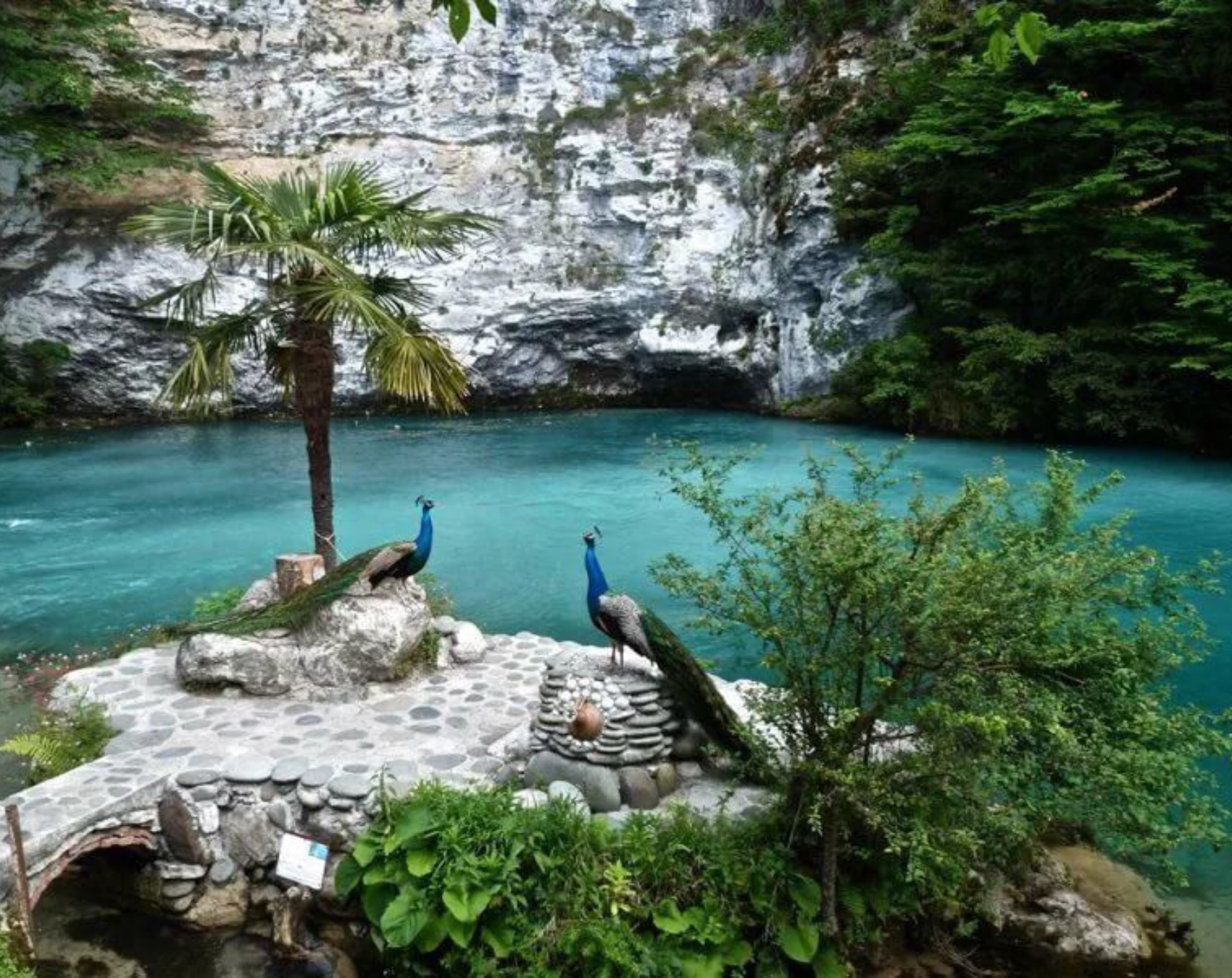 Абхазия с открытки - из Сочи и Адлера