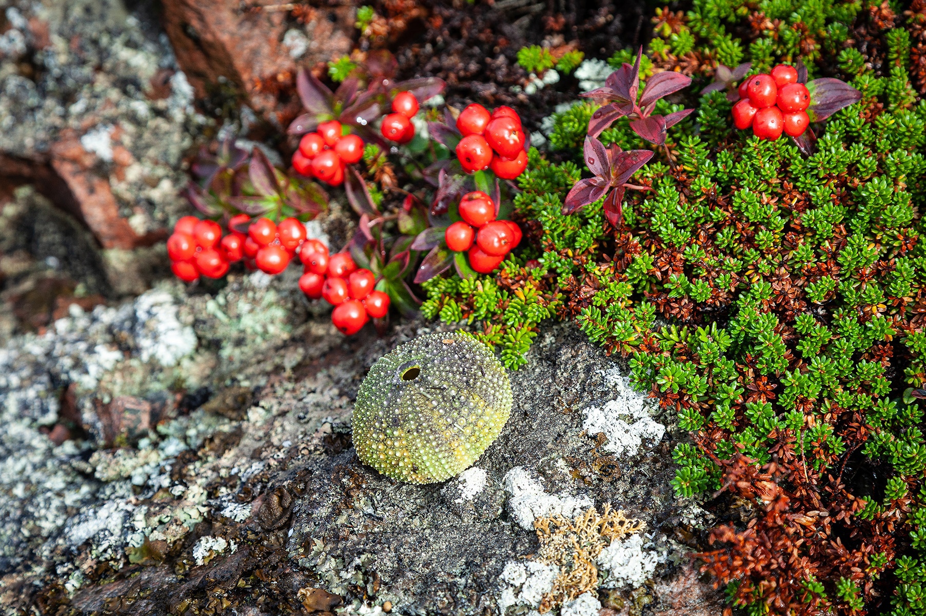 Вторичное фото рубрики