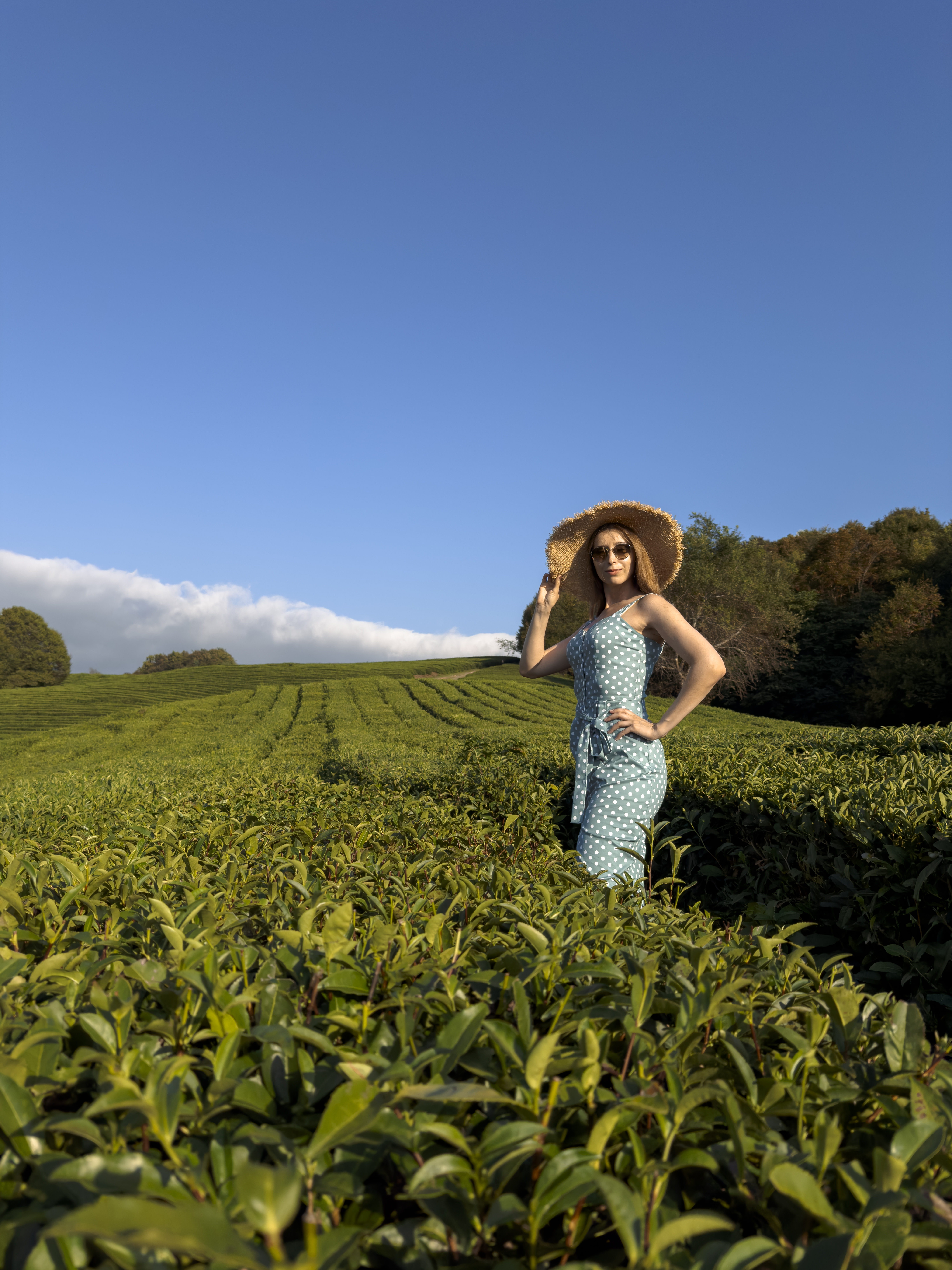 Водопады, чай и Сталин — с фотосетом на iPhone 16 Pro Max