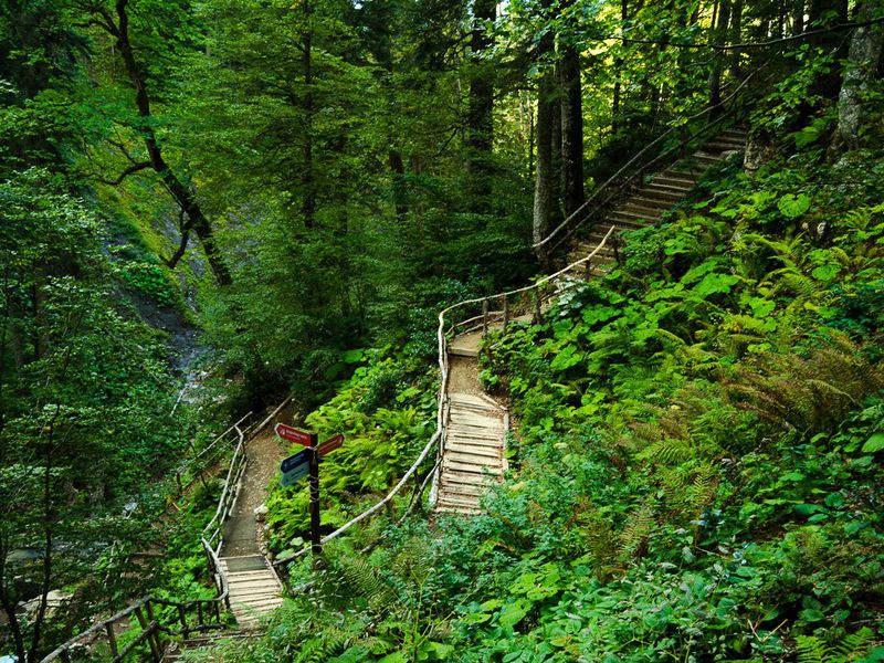 Групповая экскурсия в парк водопадов «Менделиха» (4/6)