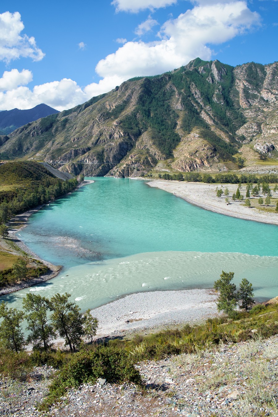 Экспресс-перезагрузка на Алтае: топ локаций, Манжерок и дикие места (11/15)