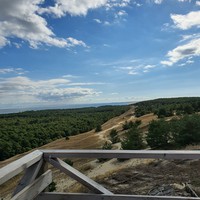 Фото отзыва 17: экскурсия "Загадочная Куршская коса" Фото отзыва 17: экскурсия "Загадочная Куршская коса"