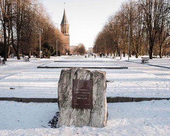 Фото 4 авторского тура - день 1 "Музей Мирового океана, Кафедральный собор и музей «Бункер»" Фото 4 авторского тура - день 1 "Музей Мирового океана, Кафедральный собор и музей «Бункер»"