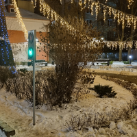 Фото отзыва 10: экскурсия "По Куршской косе и Зеленоградску в мини-группе" Фото отзыва 10: экскурсия "По Куршской косе и Зеленоградску в мини-группе"