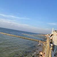 Фото отзыва 20: экскурсия "Три в одном: Куршская коса, Зеленоградск и замок Нессельбек" Фото отзыва 20: экскурсия "Три в одном: Куршская коса, Зеленоградск и замок Нессельбек"