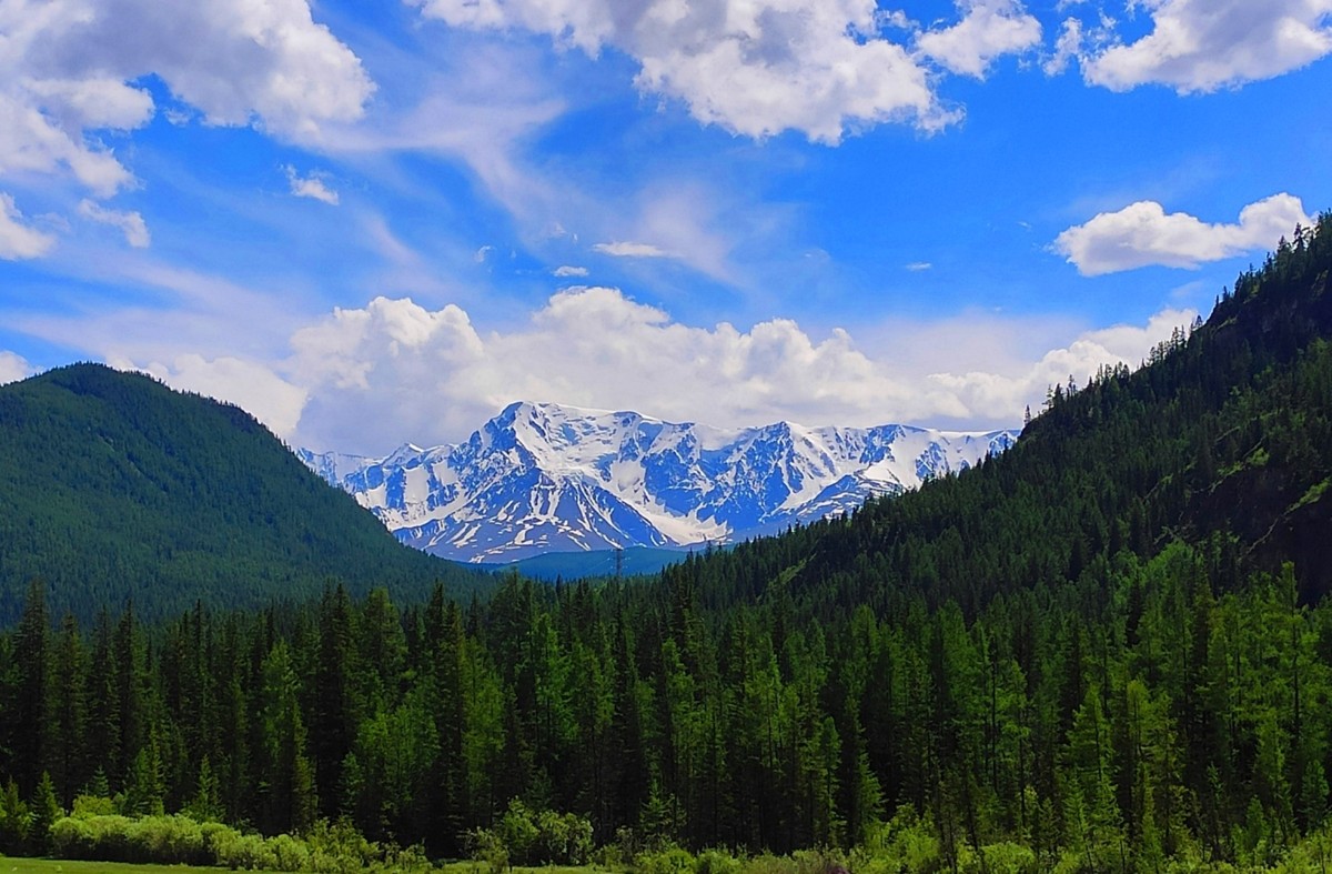 Экспресс-перезагрузка на Алтае: топ локаций, Манжерок и дикие места (13/15)