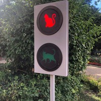 Фото отзыва 37: экскурсия "Загадочная Куршская коса" Фото отзыва 37: экскурсия "Загадочная Куршская коса"