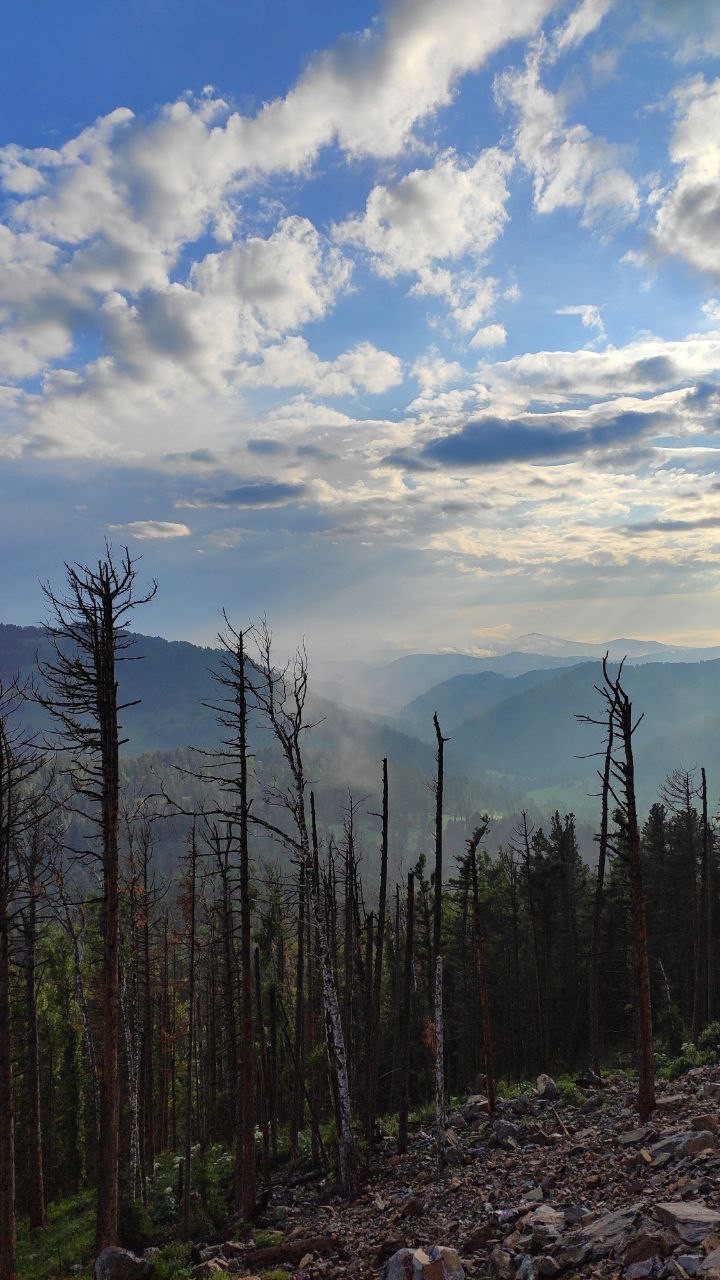 Экспресс-перезагрузка на Алтае: топ локаций, Манжерок и дикие места (14/15)