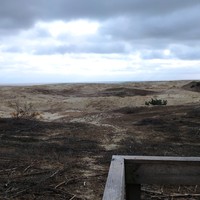 Фото отзыва 38: экскурсия "Самое-самое на Куршской косе" Фото отзыва 38: экскурсия "Самое-самое на Куршской косе"