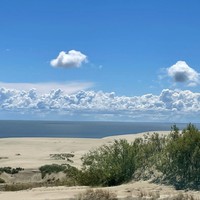 Фото отзыва 36: экскурсия "Загадочная Куршская коса" Фото отзыва 36: экскурсия "Загадочная Куршская коса"
