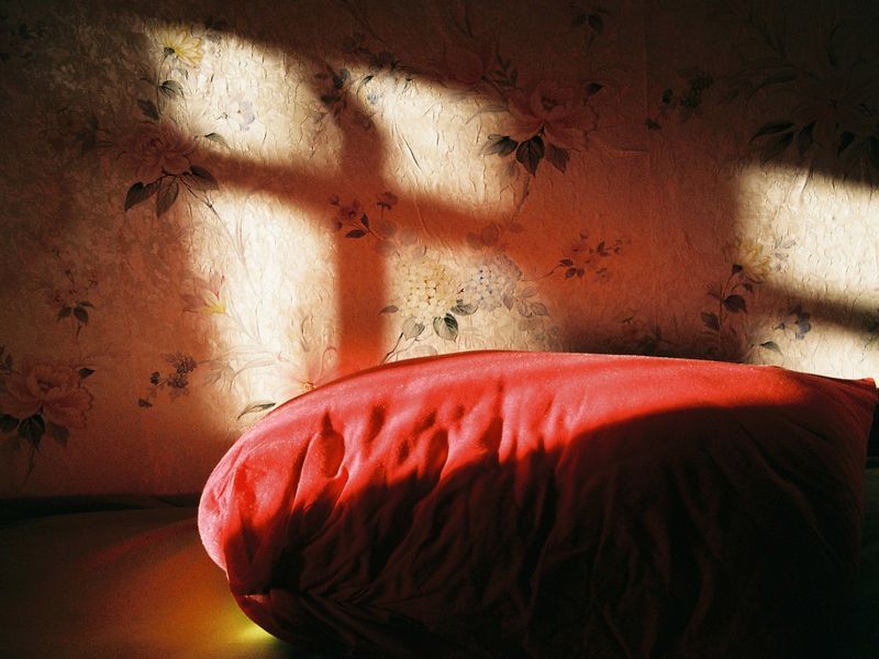 Мастер-класс «Снято на пленку» (17/25)