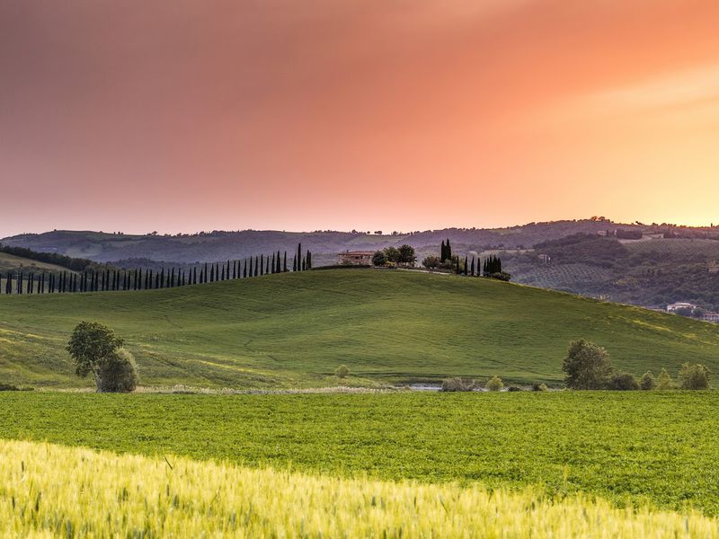 По Тоскане на кабриолете (из Флоренции) (6/12)