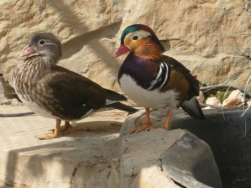 Из Новороссийска к Азовскому морю! (12/24)