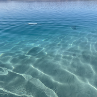 Фото отзыва 7: экскурсия 