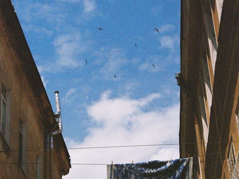 Мастер-класс «Снято на пленку» (23/25)