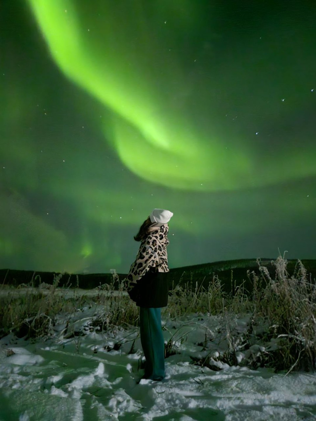 Северное сияние: увидеть главное чудо Заполярья 🧭 цена экскурсии 4250 ...