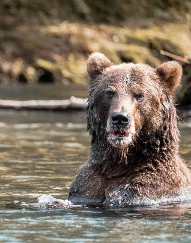 Топовые места Камчатки: налегке и с комфортом (6/7)