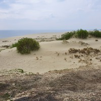 Фото отзыва 39: экскурсия "Загадочная Куршская коса" Фото отзыва 39: экскурсия "Загадочная Куршская коса"