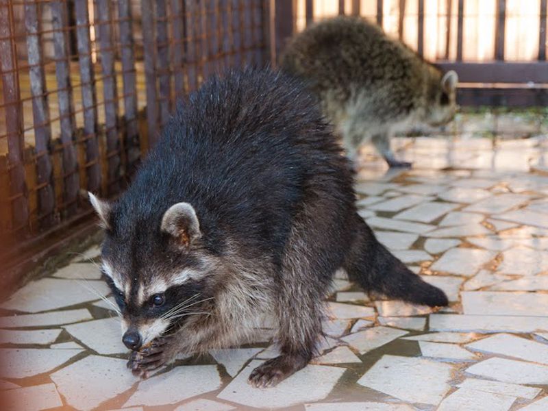 Из Новороссийска к Азовскому морю! (10/24)