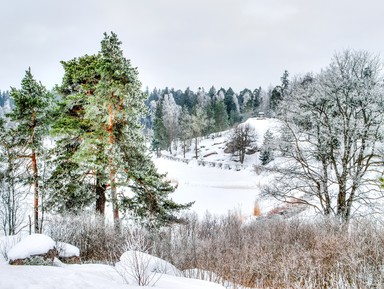 Фото 3 - Экскурсия: "Завораживающий скальный парк Монрепо" Фото 3 - Экскурсия: "Завораживающий скальный парк Монрепо"
