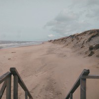 Фото отзыва 48: экскурсия "Куршская коса без толпы, Зеленоградск и замок Нессельбек на автобусе" Фото отзыва 48: экскурсия "Куршская коса без толпы, Зеленоградск и замок Нессельбек на автобусе"