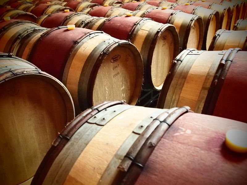 Bodega rioja