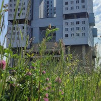 Фото отзыва 73: экскурсия "Калининград на одном дыхании" Фото отзыва 73: экскурсия "Калининград на одном дыхании"