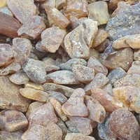 Фото отзыва 47: экскурсия "Куршская коса + Зеленоградск, Светлогорск и Янтарный" Фото отзыва 47: экскурсия "Куршская коса + Зеленоградск, Светлогорск и Янтарный"