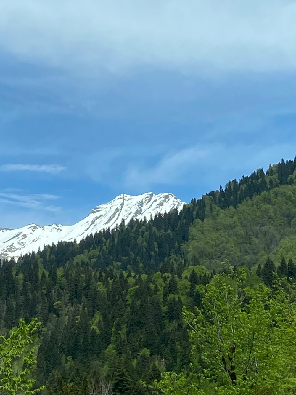 Новый Афон, Гагра, Сухум за 1 день (из Адлера) (6/14)