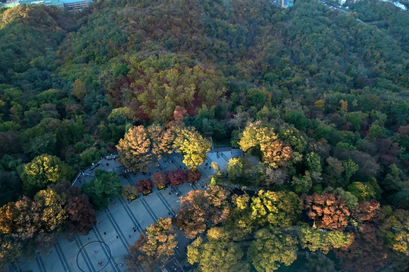 Путешествие по Южной Корее: 2 мегаполиса и курортные острова Чеджудо и Удо (5/7)