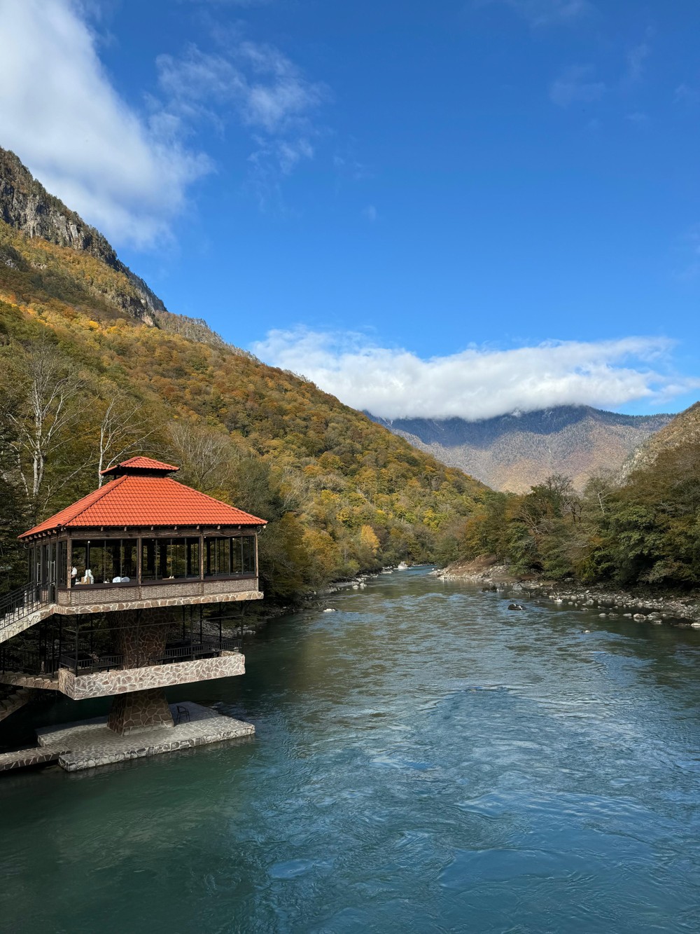 Новый Афон, Гагра, Сухум за 1 день (из Адлера) (9/14)