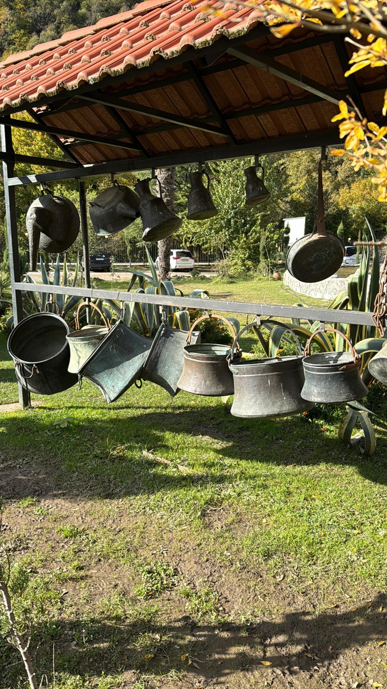 Новый Афон, Гагра, Сухум за 1 день (из Адлера) (8/14)