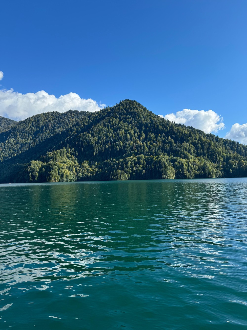 Новый Афон, Гагра, Сухум за 1 день (из Адлера) (7/14)