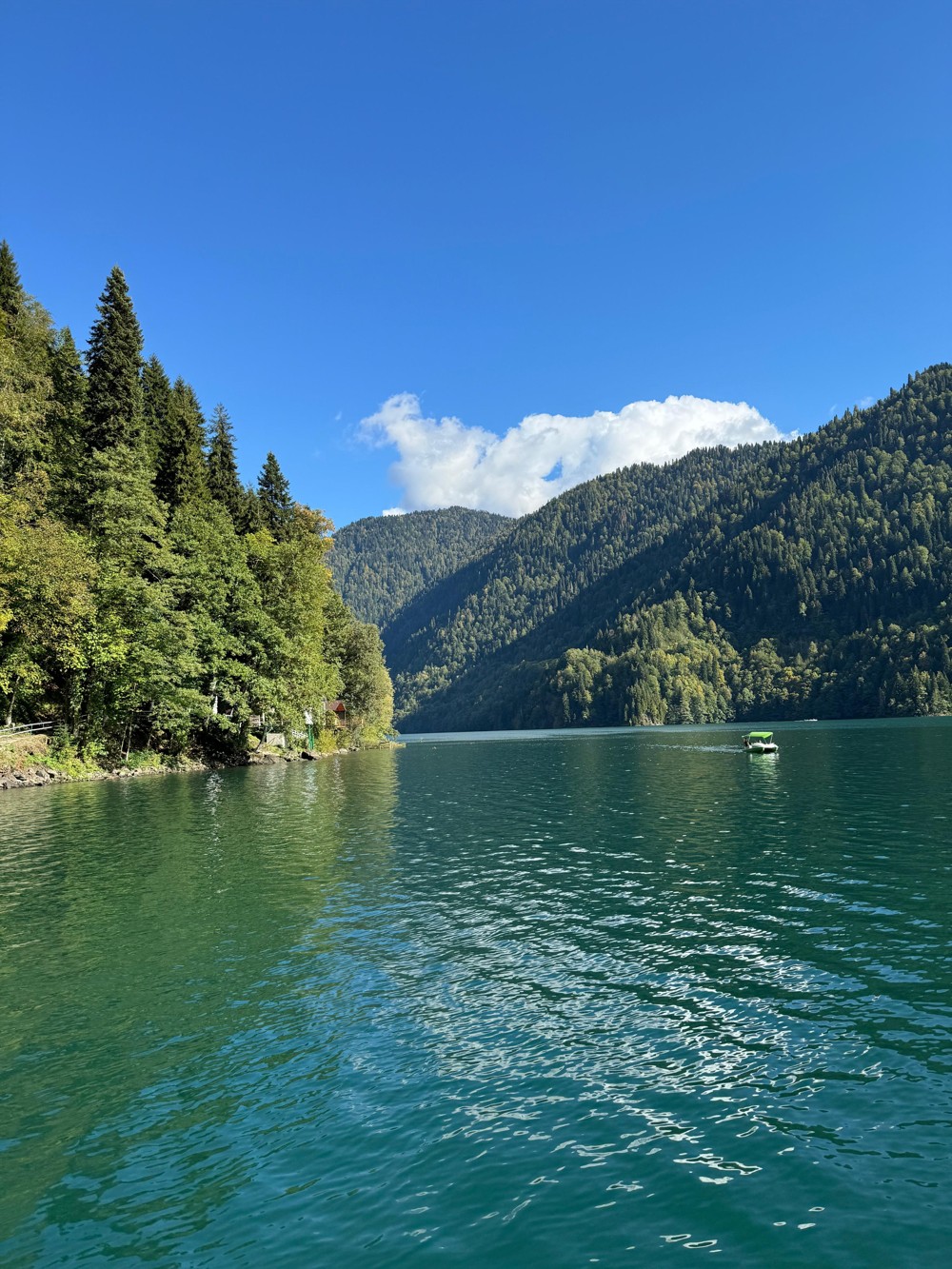 Новый Афон, Гагра, Сухум за 1 день (из Адлера) (10/14)