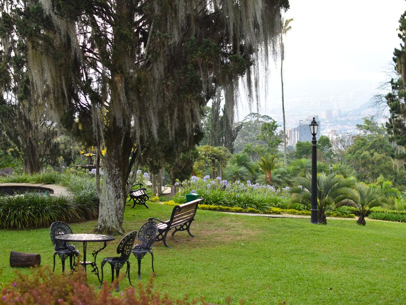 Медельин — столица гор и орхидей (12/17)