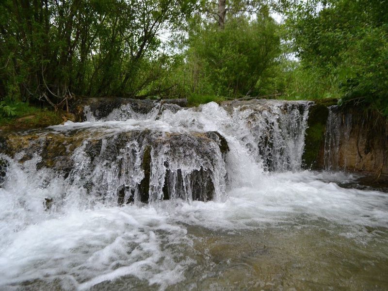 Непарадный Петергоф: иммерсивный променад на Бабигонских высотах (10/15)