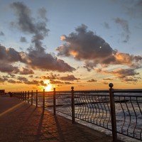 Фото отзыва 5: экскурсия "Куршская коса и Зеленоградск за один день" Фото отзыва 5: экскурсия "Куршская коса и Зеленоградск за один день"