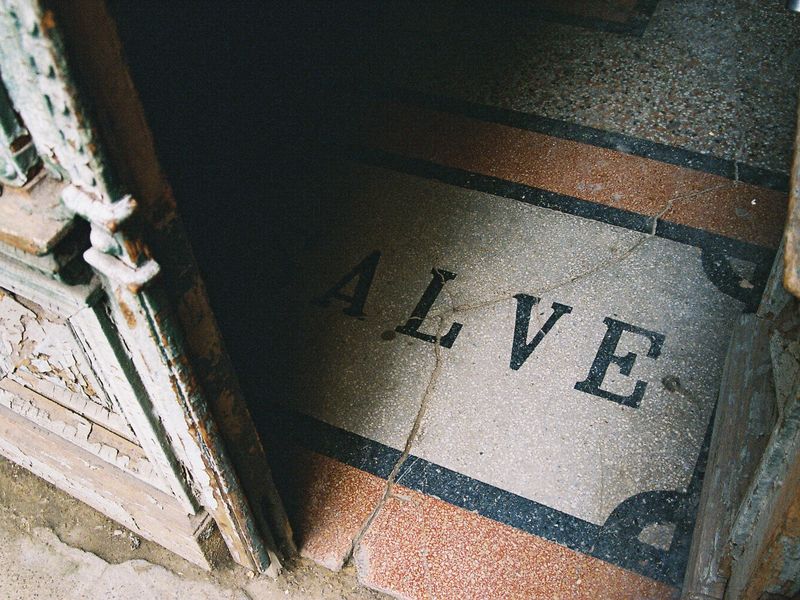 Мастер-класс «Снято на пленку» (13/25)