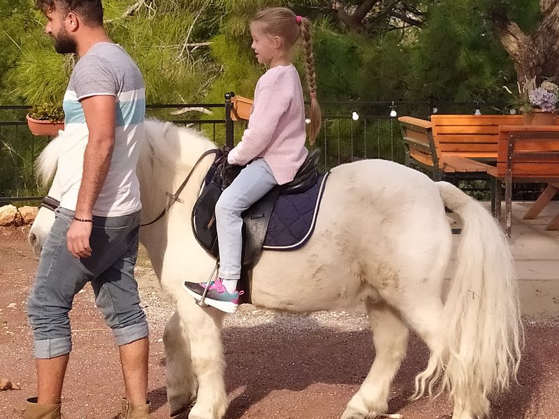 Подружиться с лошадьми в Анталье (9/12)