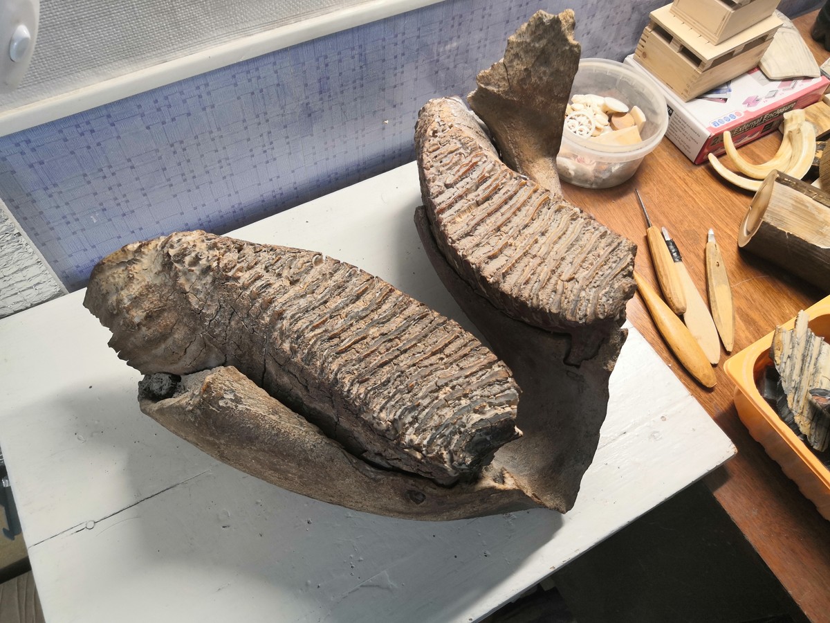 Туда, где родился Ломоносов. В Холмогоры! (13/14)