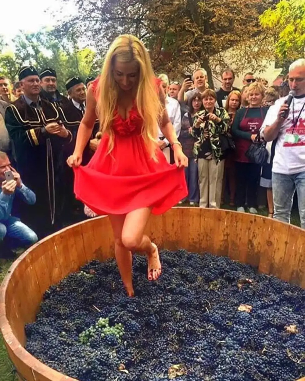 Девушки давят виноград ногами. Давка винограда. Чан для давки винограда. Давка винограда ногами грузия. Давка винограда.