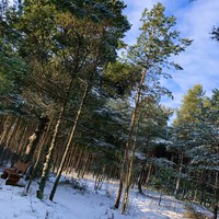 Фото отзыва 15: экскурсия "Куршская коса: земля древних куршей и великанши Неринги" Фото отзыва 15: экскурсия "Куршская коса: земля древних куршей и великанши Неринги"